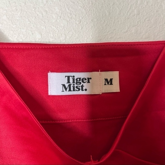 Tiger Mist Red Satin V Neck Cami Crop Top - Picture 4 of 5
